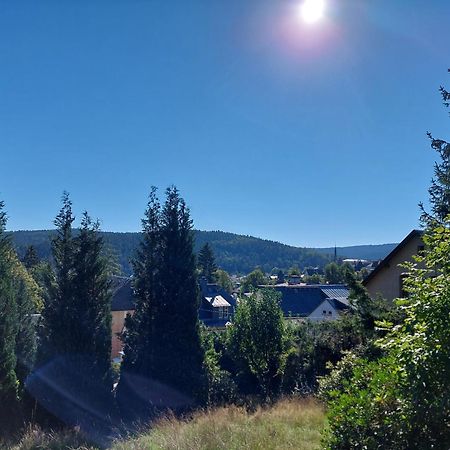 Villa Helvetia Bad Elster Kültér fotó