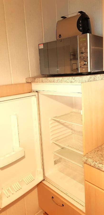 Villa Helvetia Bad Elster Kültér fotó