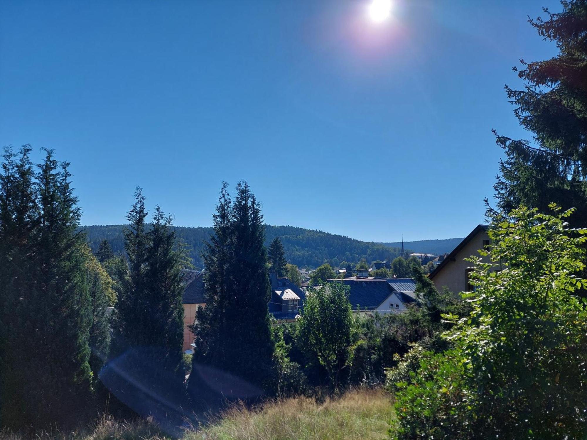 Villa Helvetia Bad Elster Kültér fotó