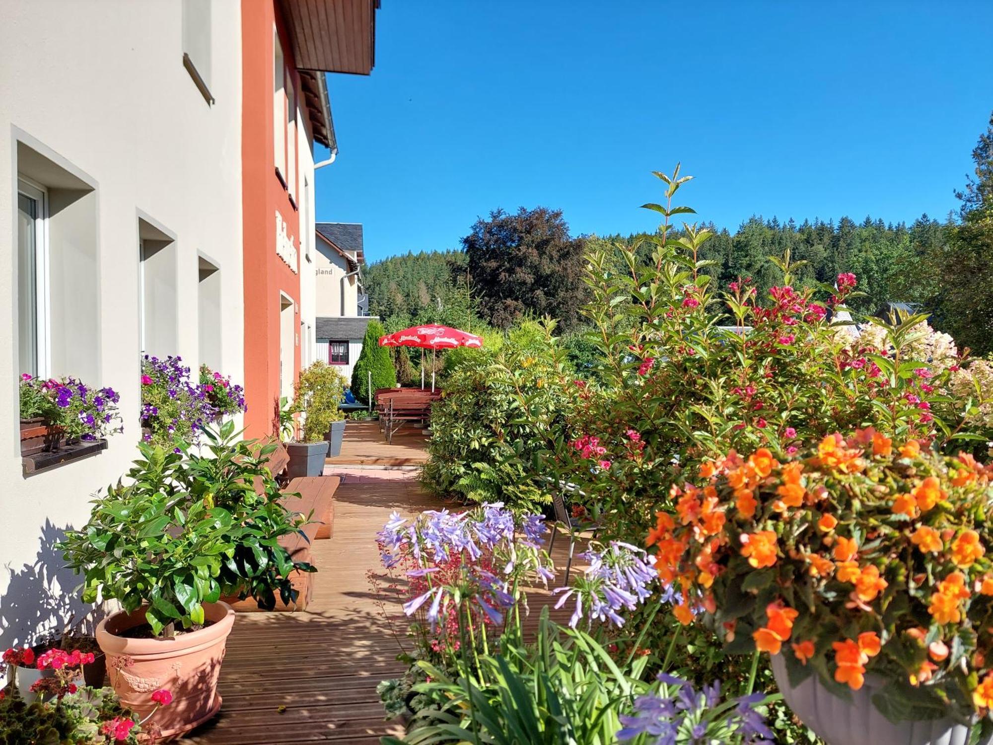 Villa Helvetia Bad Elster Kültér fotó